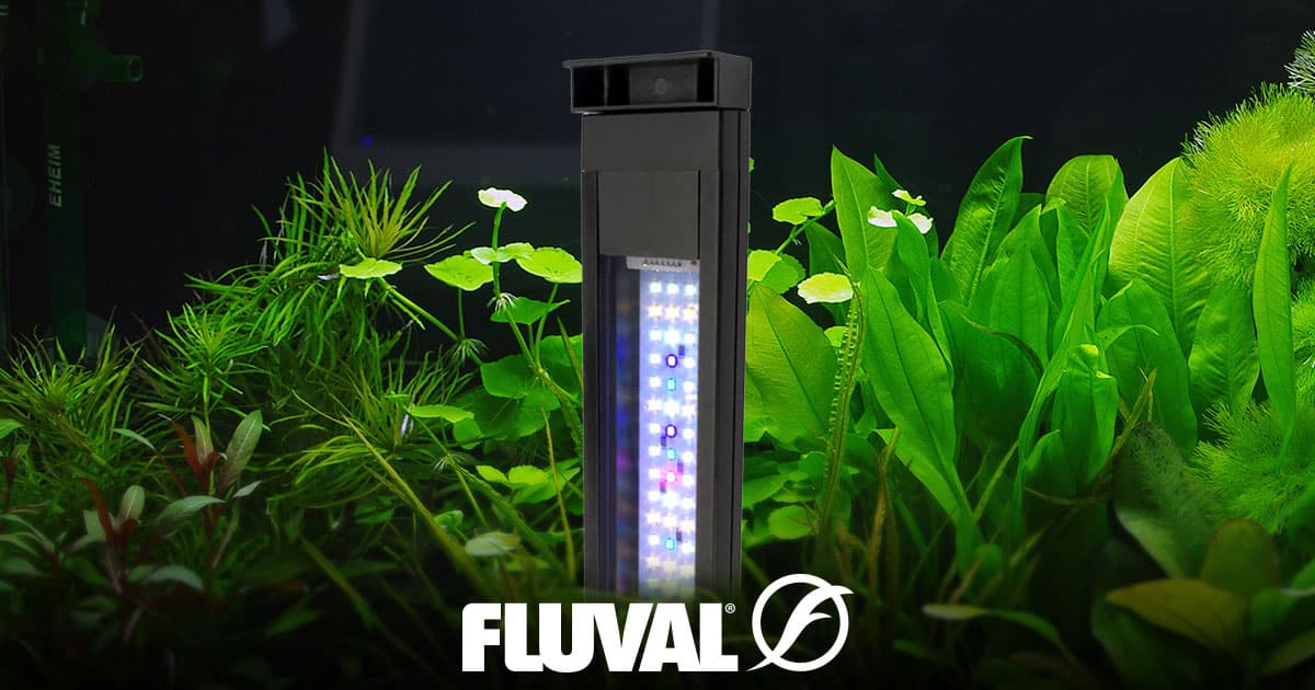 Fluval Plant 3.0 LED